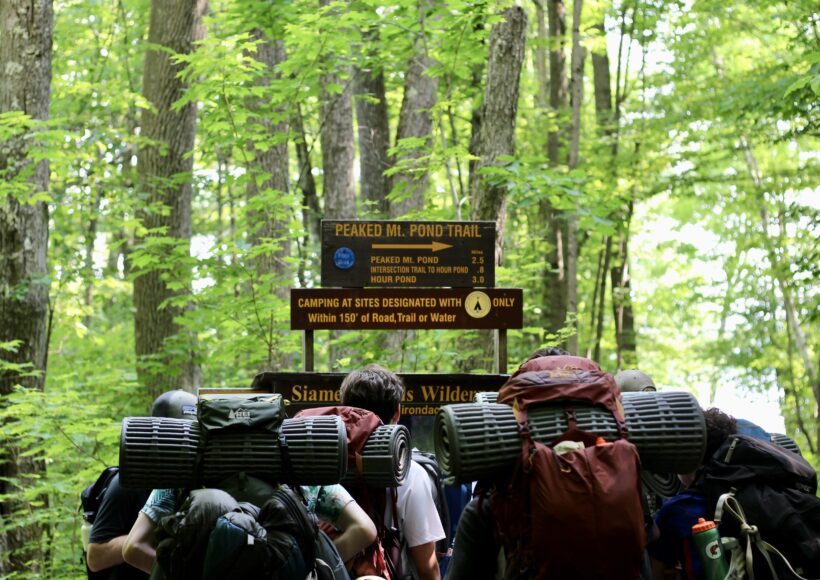 FF60E4EF-A5A3-4A61-80A0-C9C398417EDD_1_201_a